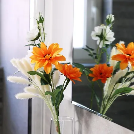 Apartamento Casa Mapi